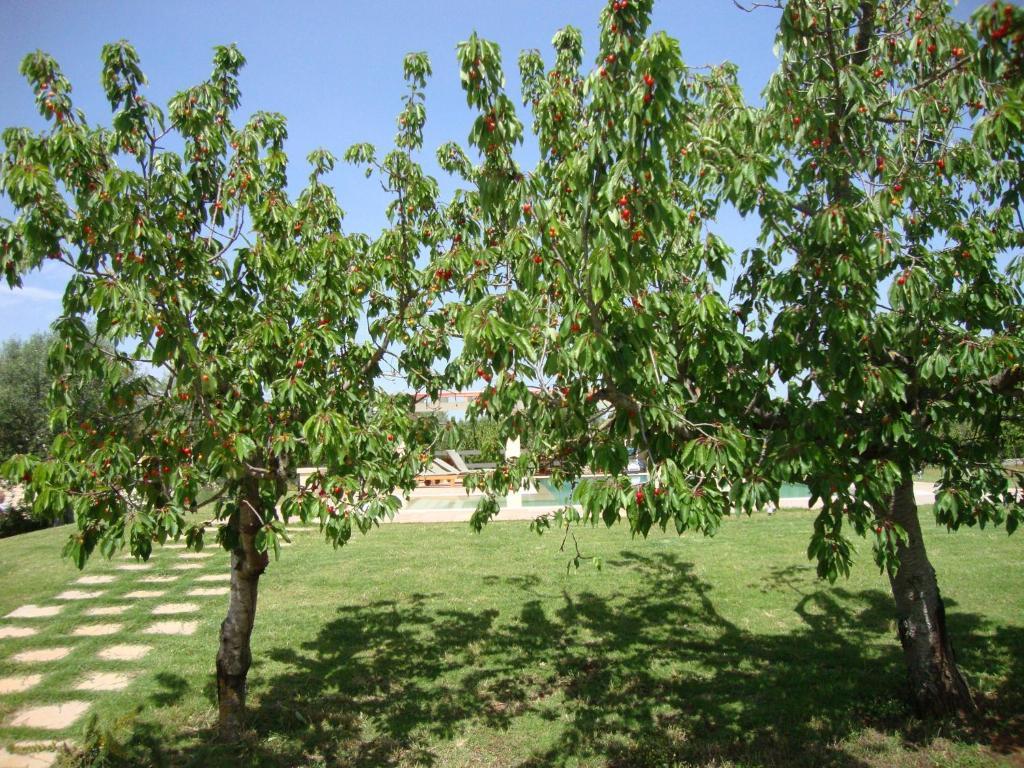 Fontana Vecchia